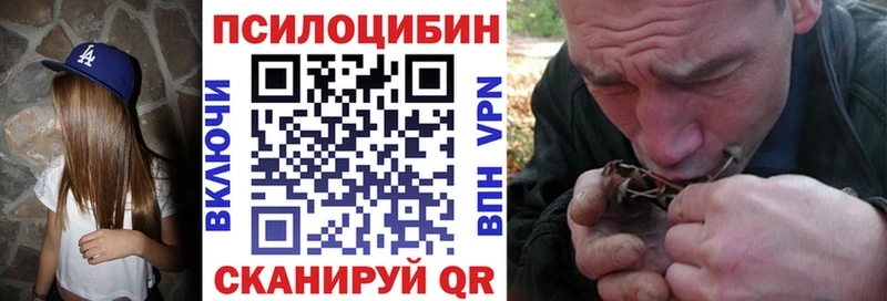 Купить где  Троицк  Галлюциногенные грибы Cubensis 
